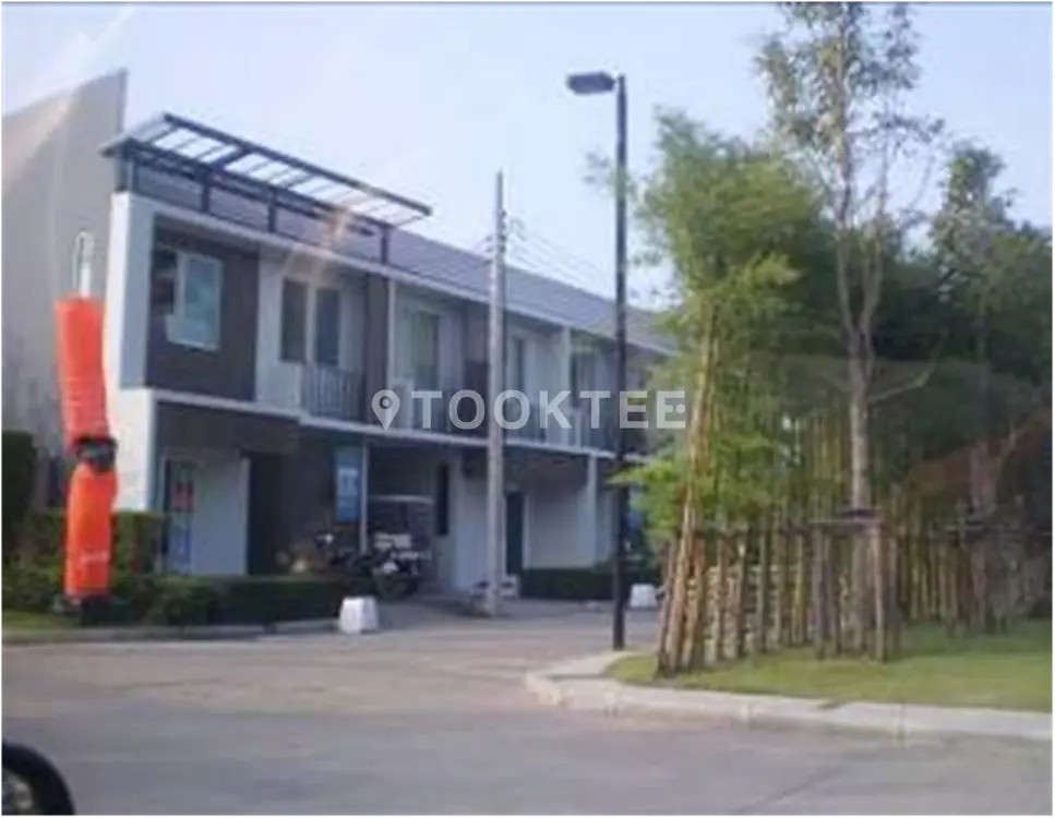 เดอะ คัลเลอร์ส