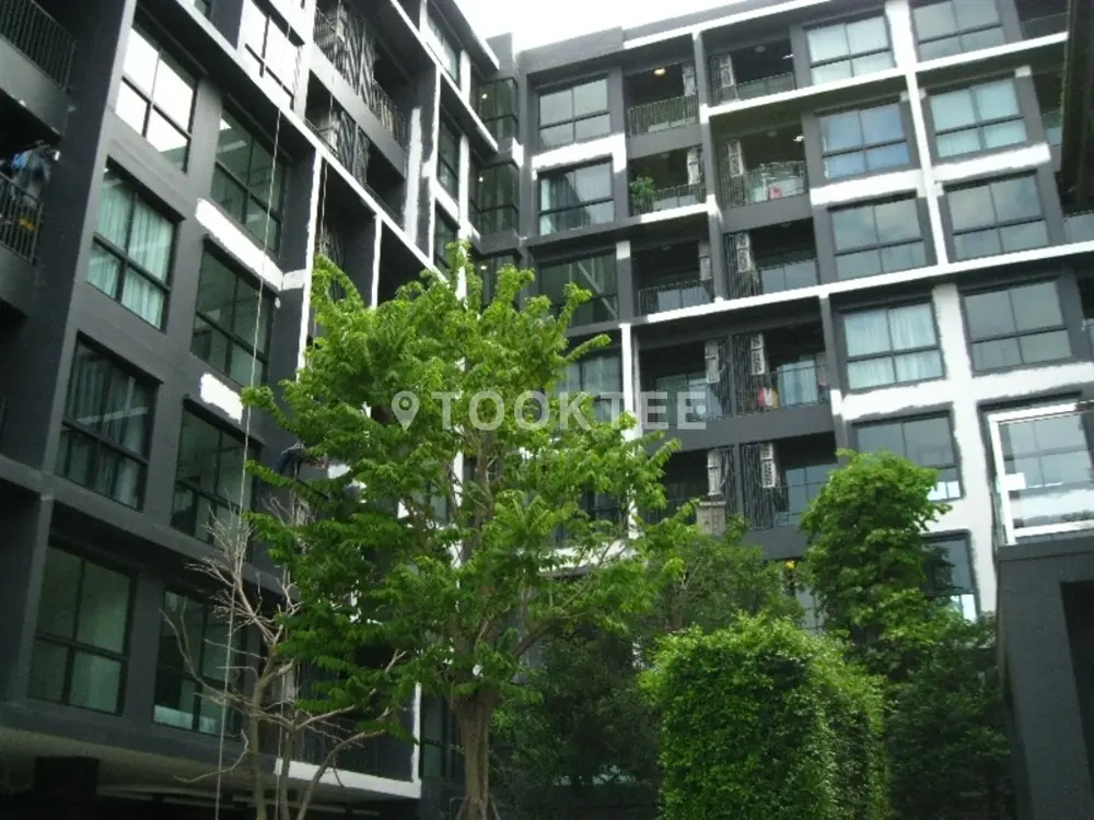 ดิ เอ็กเซล กรูฟ