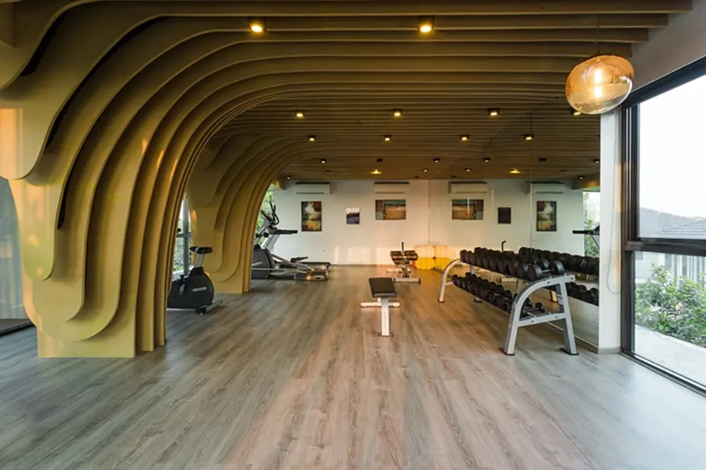 ฮาบิเทีย ชายน์