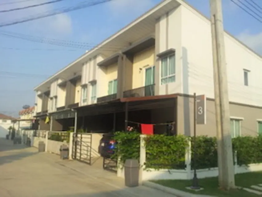 พลีโน่ ปิ่นเกล้า - วงแหวน