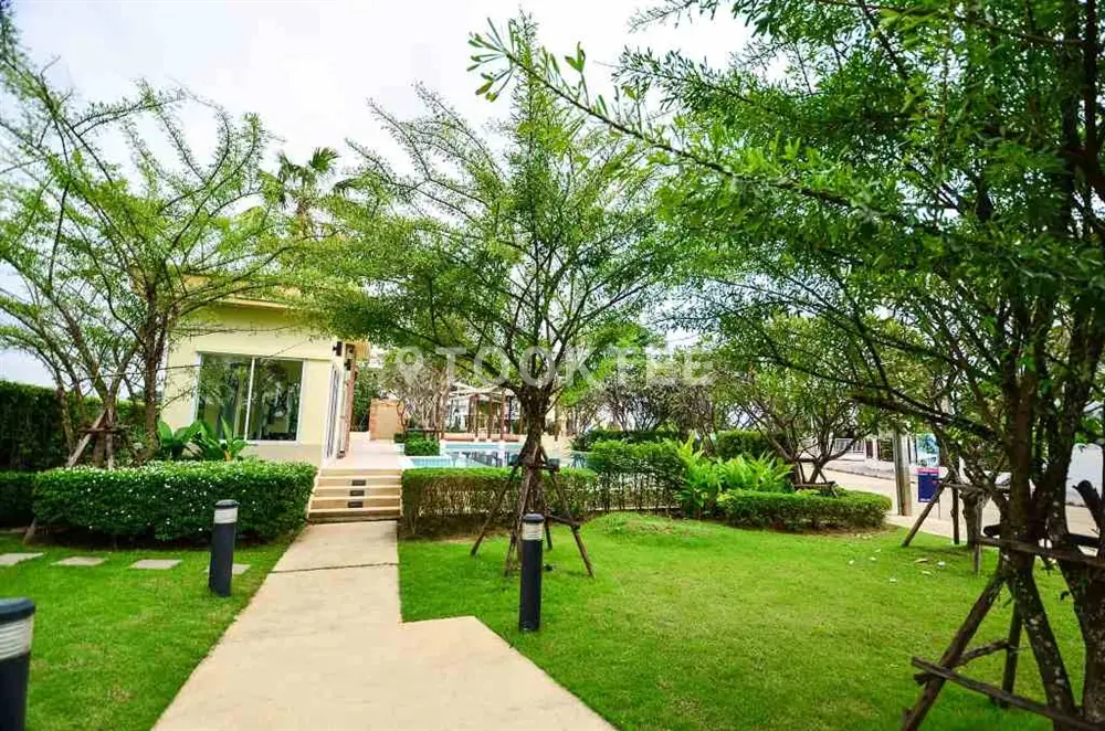 ฟลอร่า ดิวิน่า