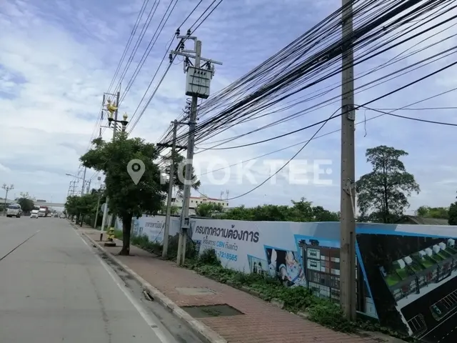 ซีบีเอ็น กิ่งแก้ว